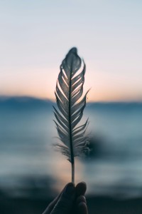 daiga-ellaby-h43VqtlnV7U-unsplash